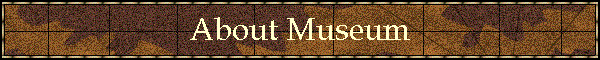 About Museum